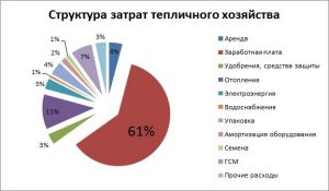 Бизнес план на теплицу зимнюю