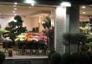 Готовый бизнес-план цветочного магазина с расчетами